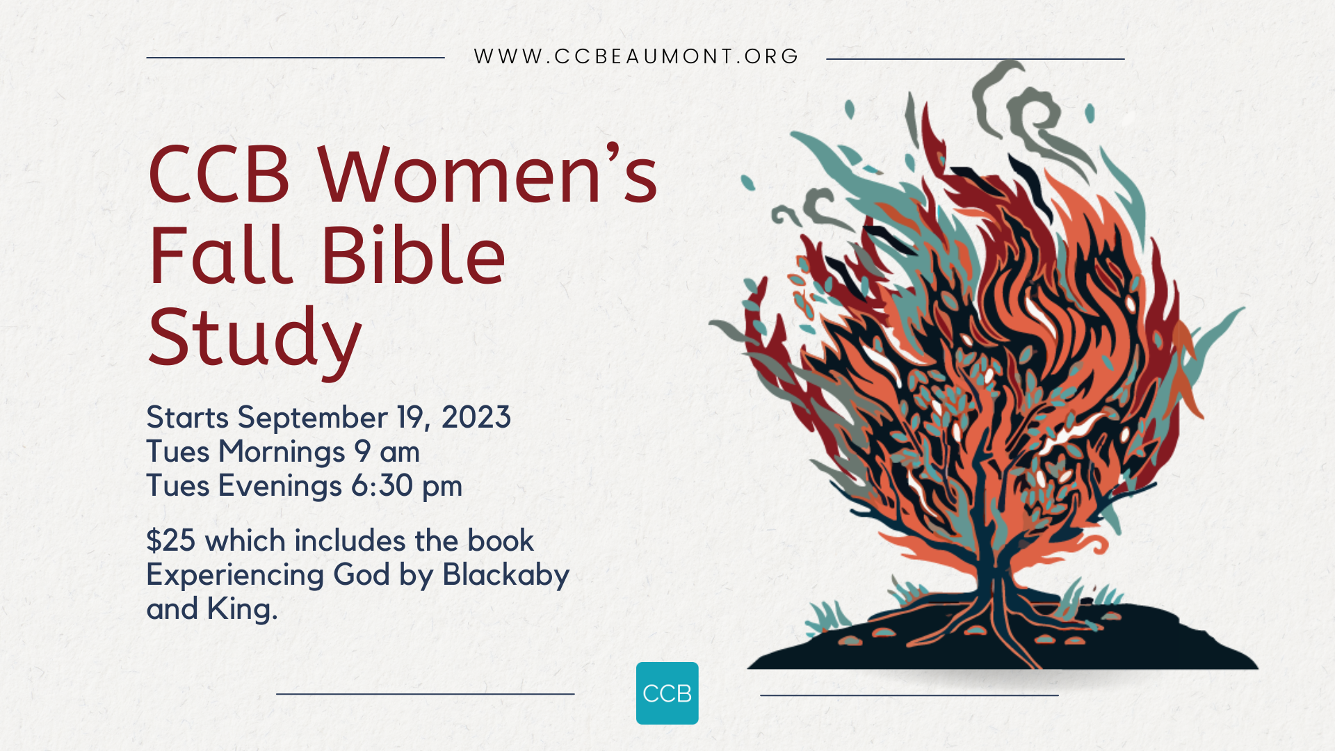 ladies-bible-study-fall-2023-combo